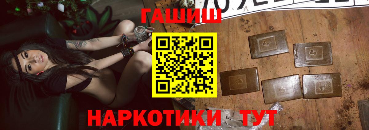 ГАШ Premium Грозный